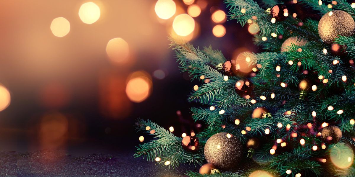 Edinburgh Zoo's Christmas Nights - VIP Package - Adults Only