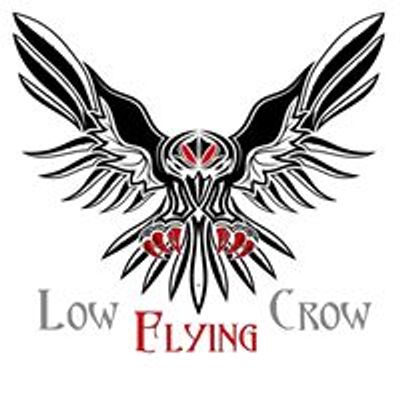 Low Flying Crow