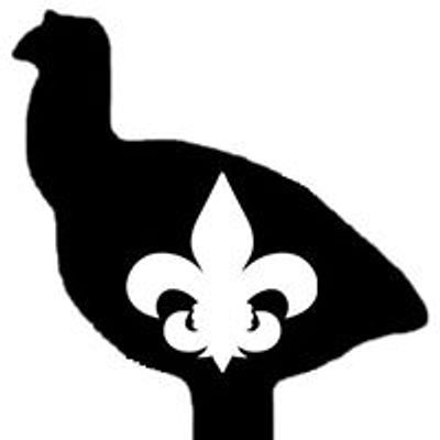 Louisiana Rifle Silhouette Team