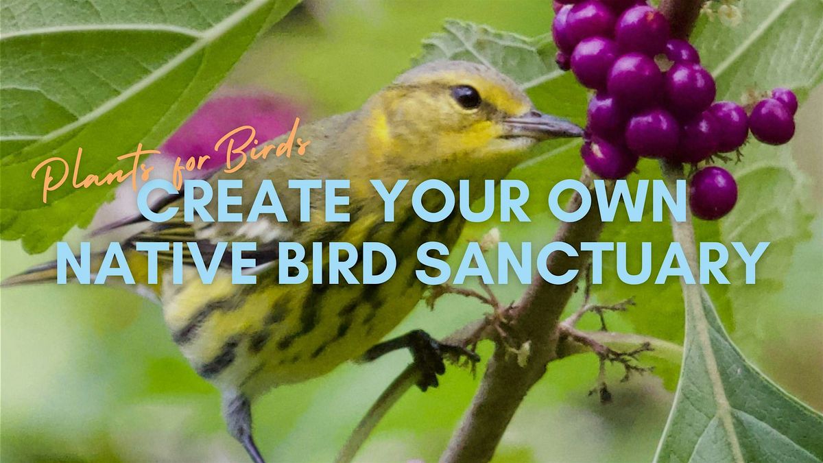 Plants for Birds: Create Your Own Bird Sanctuary Series