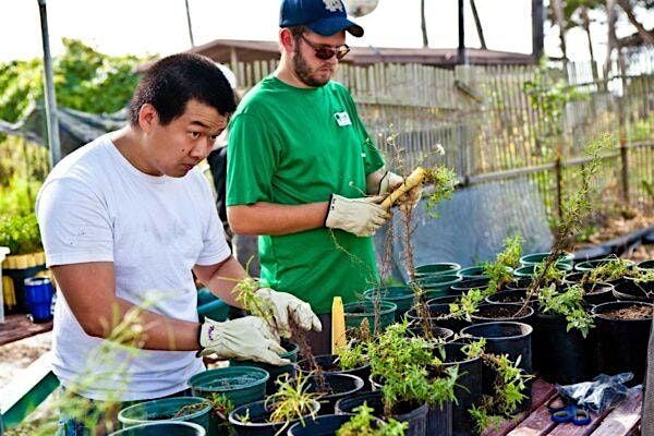 Volunteer Habitat Restoration Day at Coal Oil Point Reserve