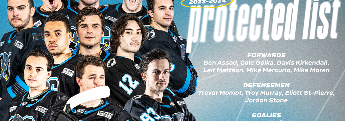 Evansville Thunderbolts at Quad City Storm