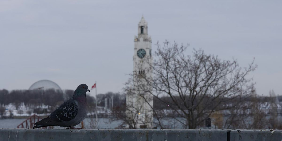 Brainhack Montreal Winter 2026