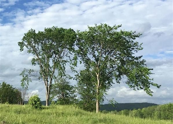 Oh Canada |A unique one-day art workshop in the Ottawa region