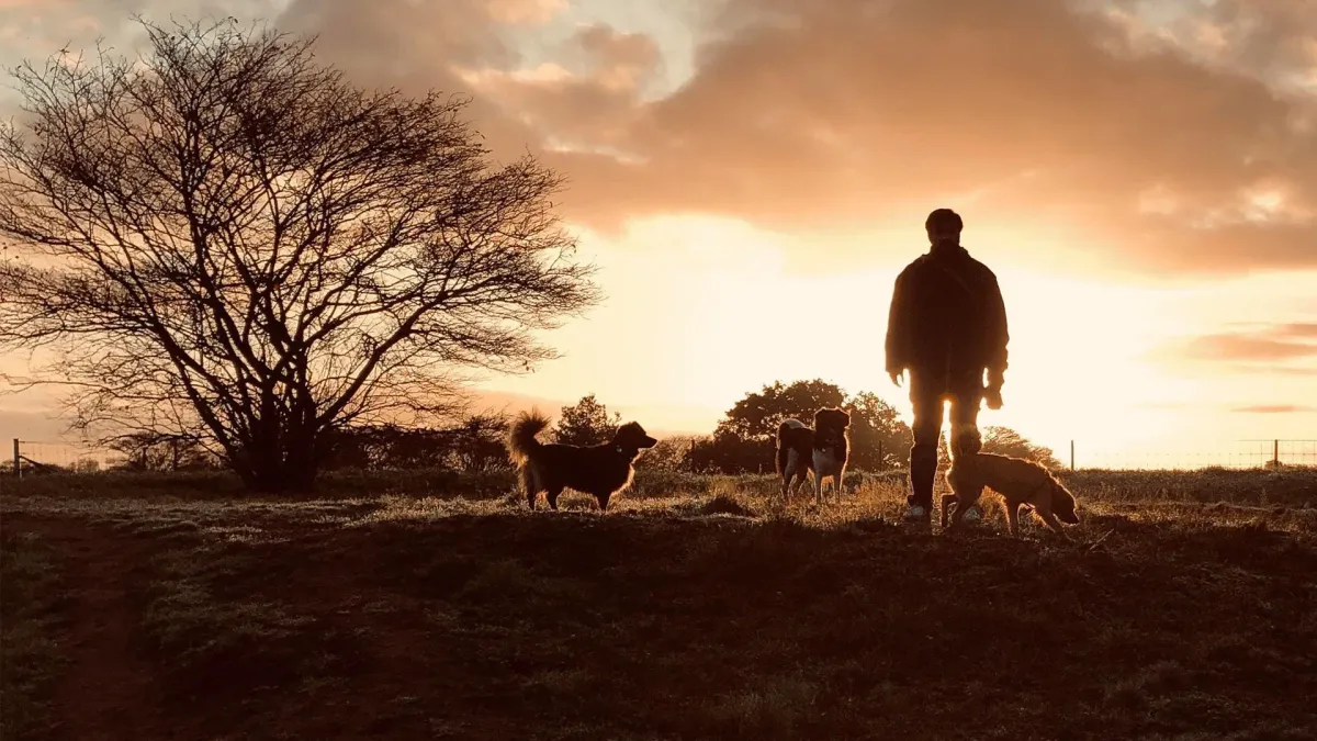 The Wanderer  in Maastricht