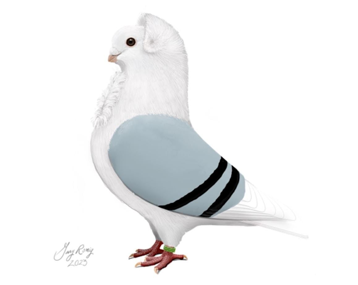 Old German Owl Club at the LAPC's Pageant of Pigeons