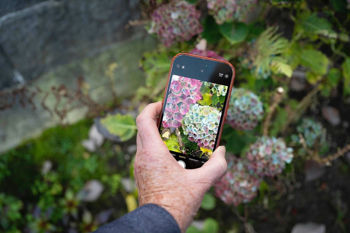 Take better photos with your phone