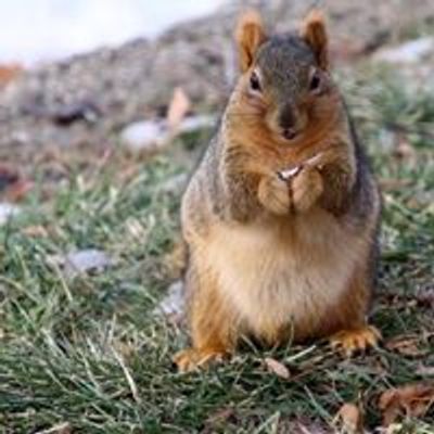 Sioux County Conservation Board\/Oak Grove Park