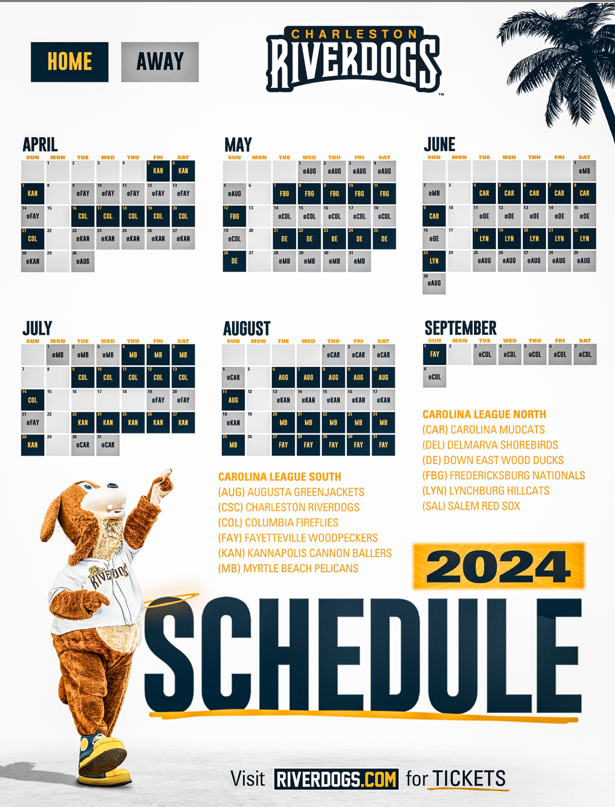 Charleston RiverDogs at Delmarva Shorebirds at Arthur W Perdue Stadium