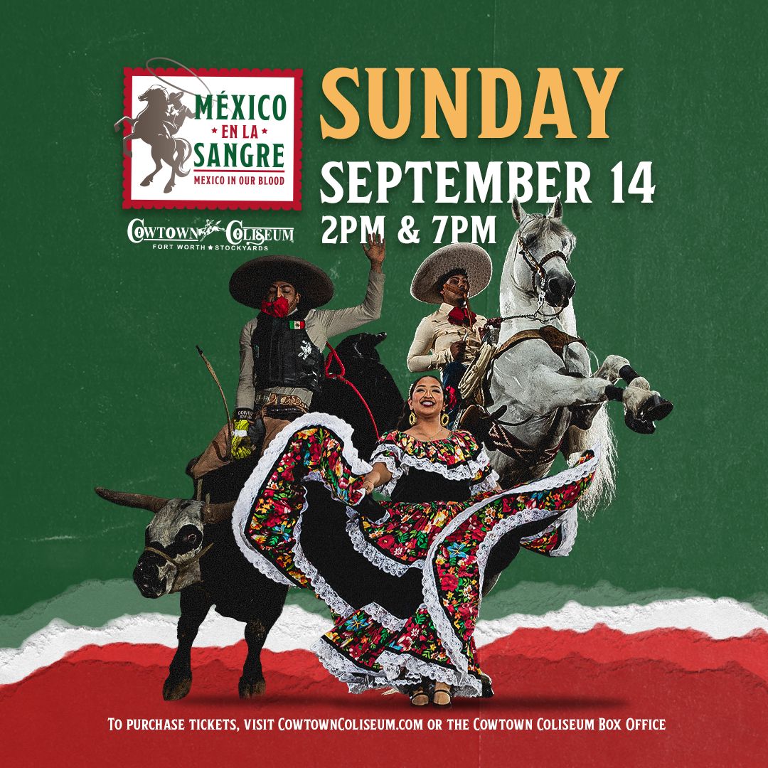 Mexico In Our Blood