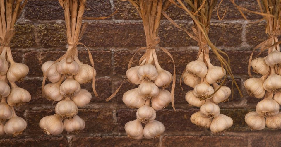 Ories Garlic Fest 2022 Public At The Brickyard Wichita KS 