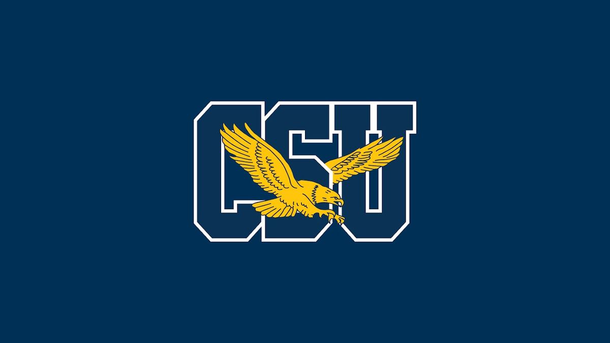 UMBC Retrievers at Coppin State Eagles Mens Basketball