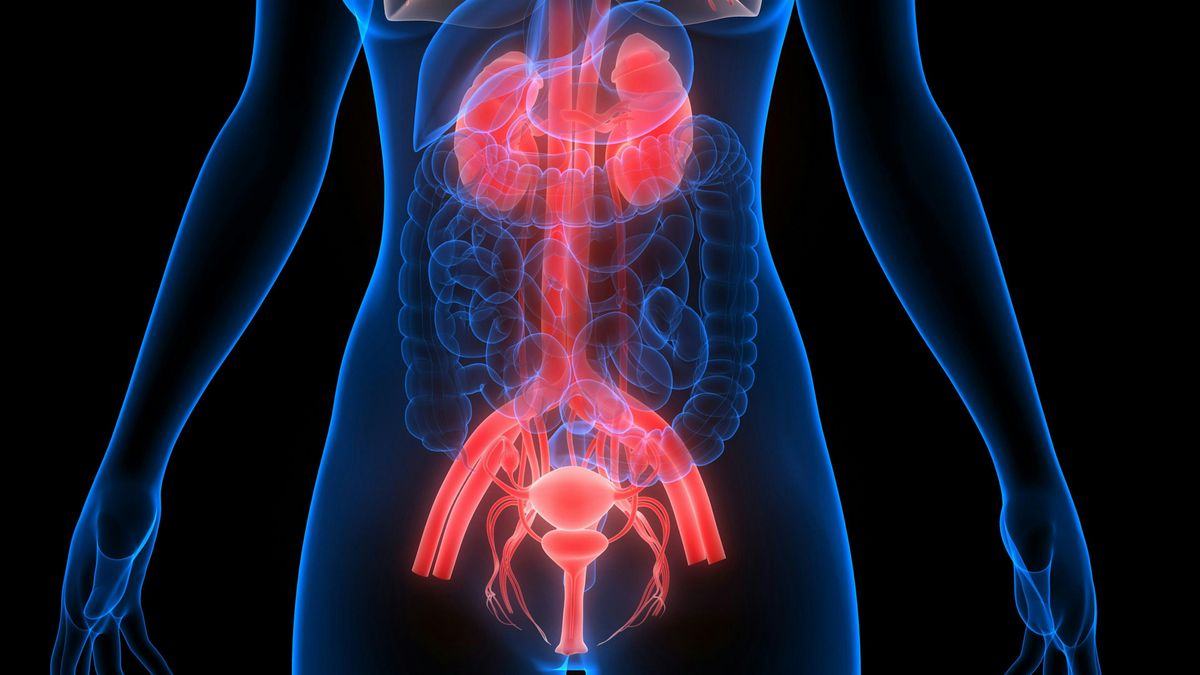 On Demand: Bladder Oncology Study Day