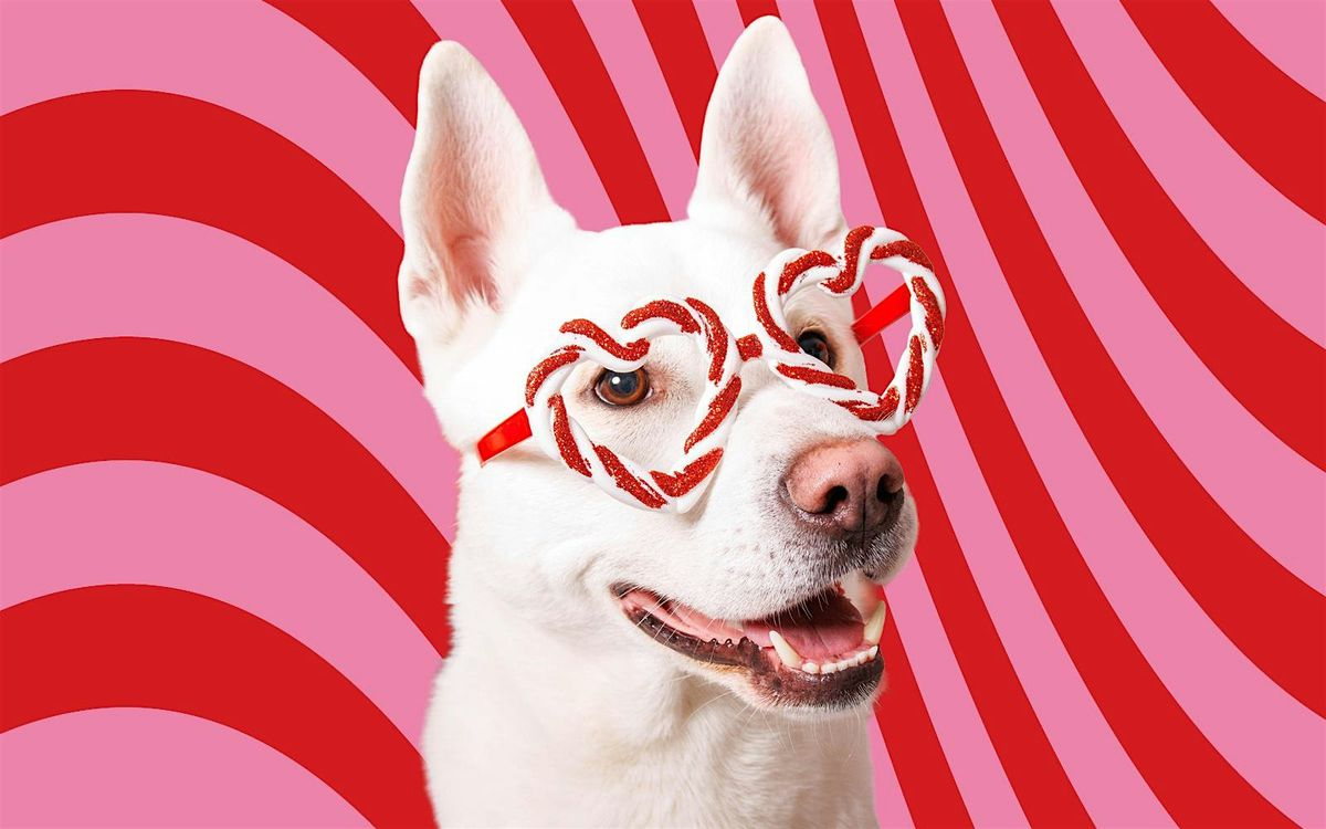 Journ\u00e9e photo avec votre animal de compagnie - Holiday Pet Photo Day