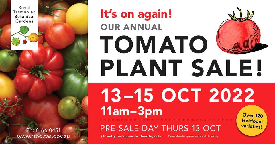 Annual Tomato Plant Sale Royal Tasmanian Botanical Gardens (RTBG