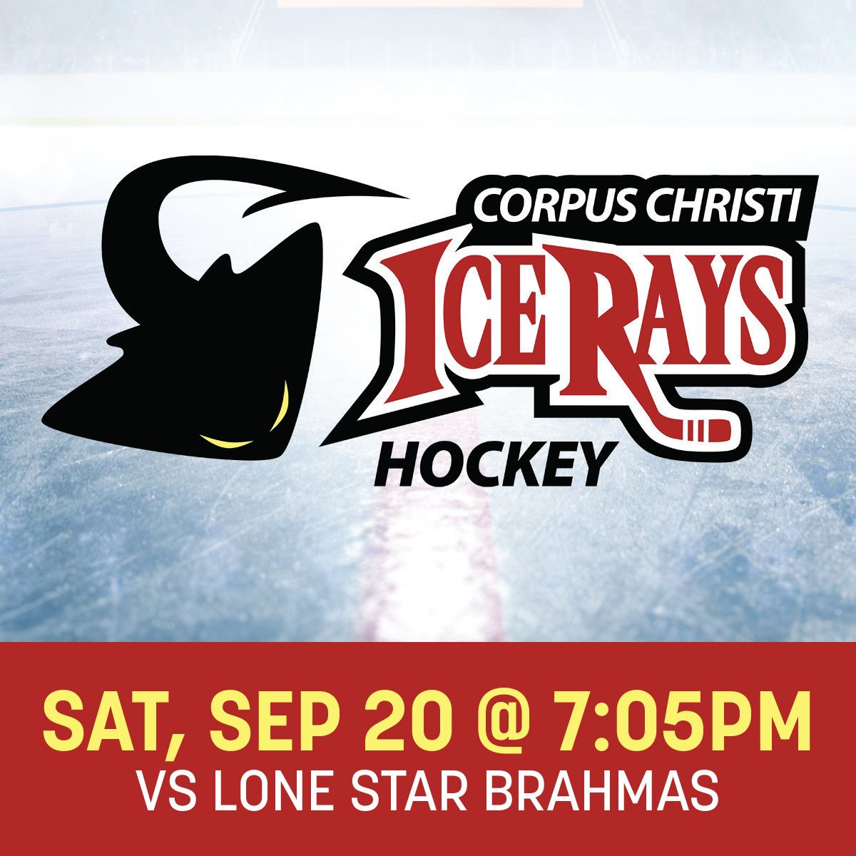 Lone Star Brahmas at Corpus Christi IceRays at American Bank Center