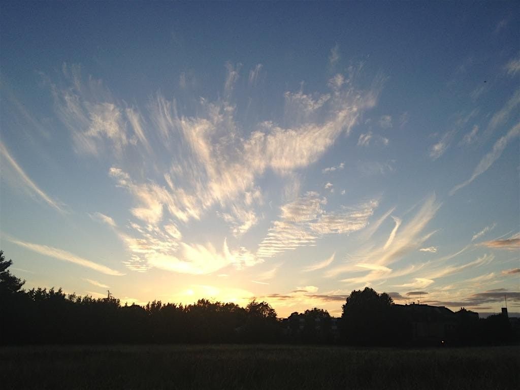 Coton Orchard Bioblitz \u2013 Bat Walk