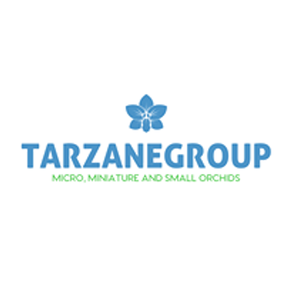 Tarzanegroup.com