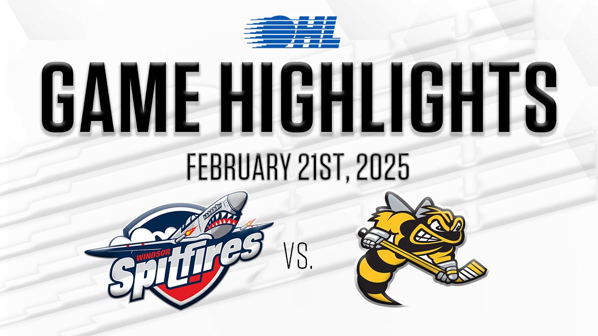 Sarnia Sting vs. Windsor Spitfires