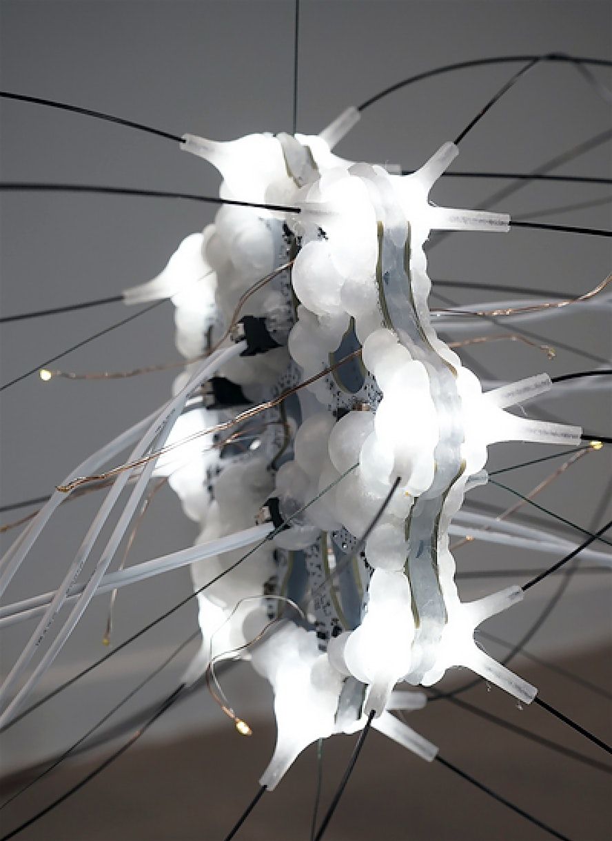 Free Inclusive Family Program - January 11, 10:30am-12:30pm