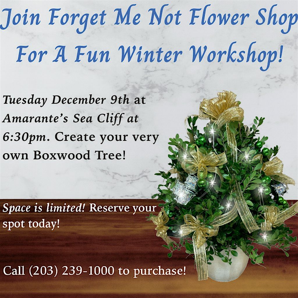 Winter Boxwood Tree Workshop at Amarante\u2019s \u2013 Limited Spots!