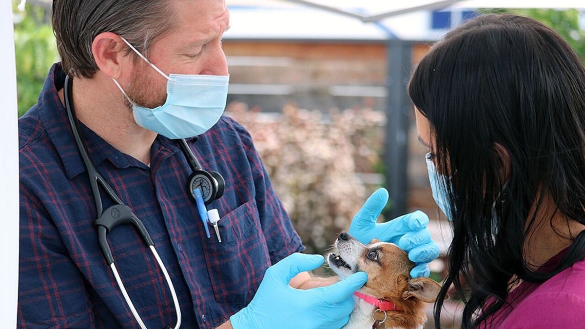 Joseph's POV at Ritz Theatre - Jacksonville