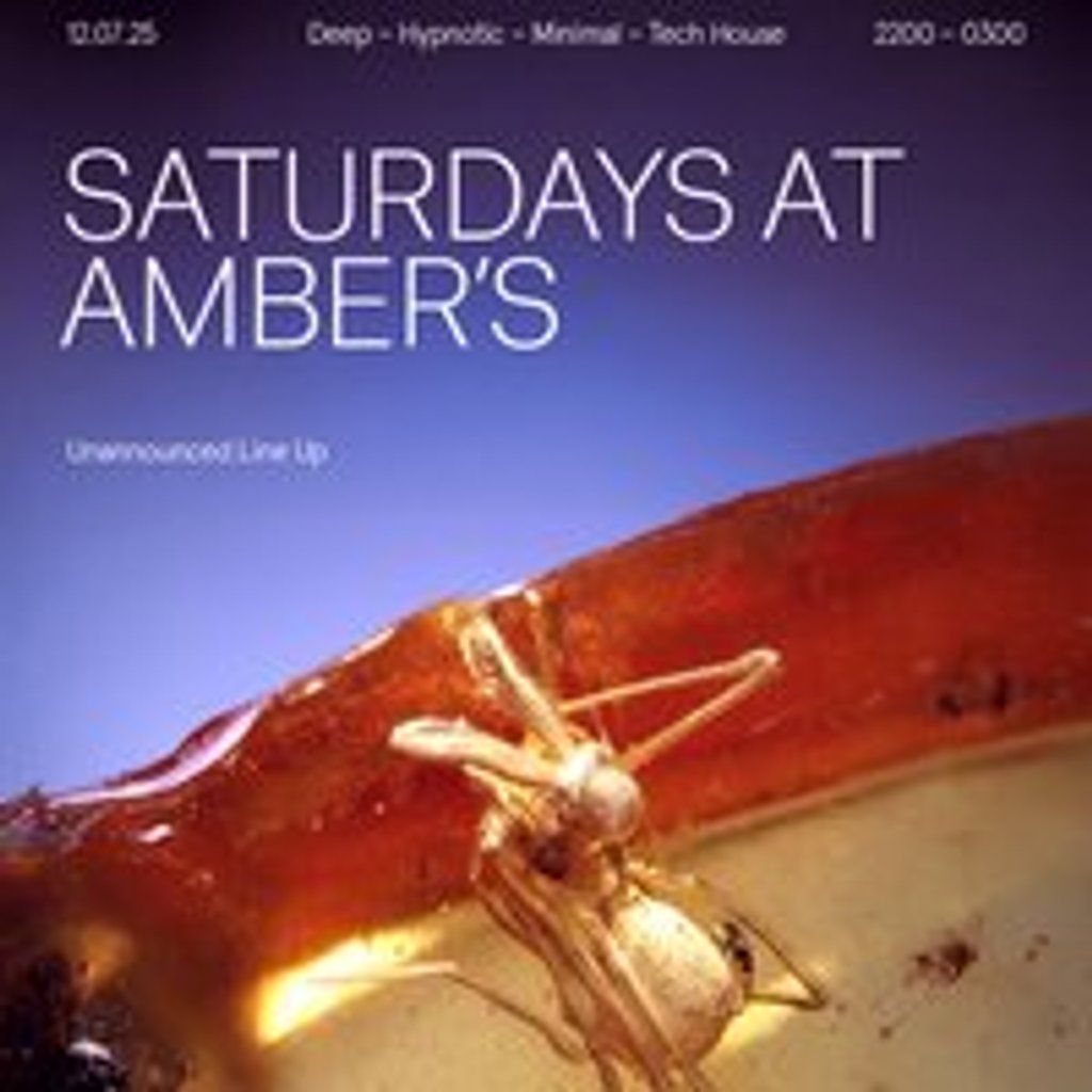 Saturdays at Amber's: House | Minimal House | Tech House
