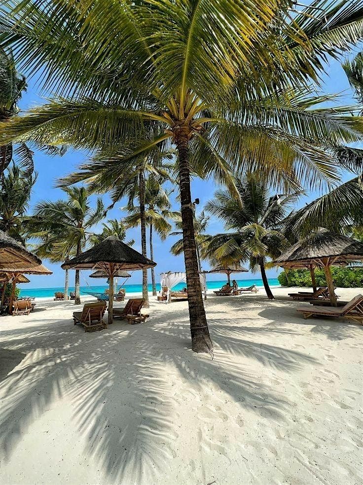 Beyond The Trip \u2728