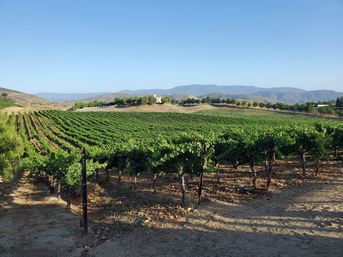 Cycling and Wine Tasting Tour of Solvang CA