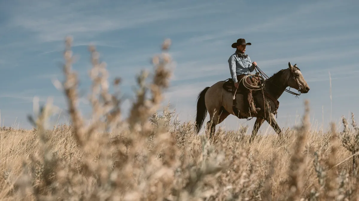 Colter Wall, Kade Hoffman in Tucson
