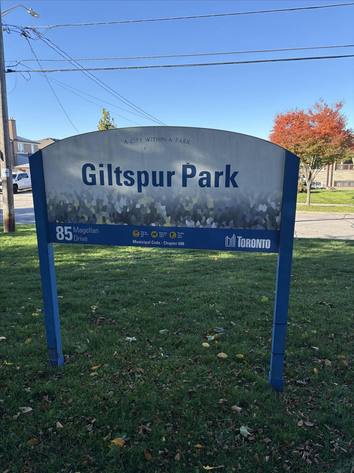 Closing Celebration and Reflection on Trauma Healing