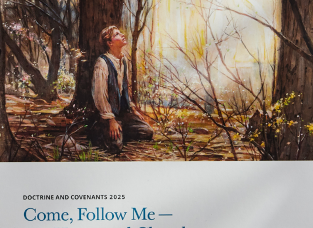 Ward Prayer & Come Follow Me Discussion