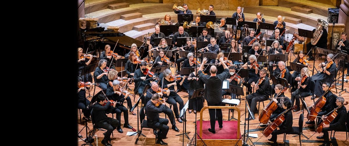 Baltimore Symphony Orchestra: Elf In Concert - Film With Live Orchestra