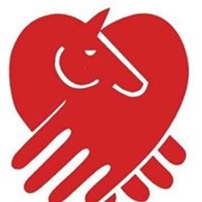 Hands and Hearts for Horses