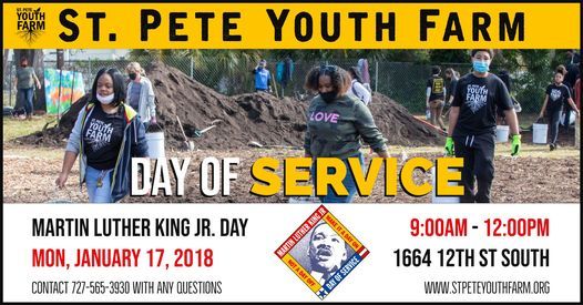 St. Pete Youth Farm MLK Day of Service 2022