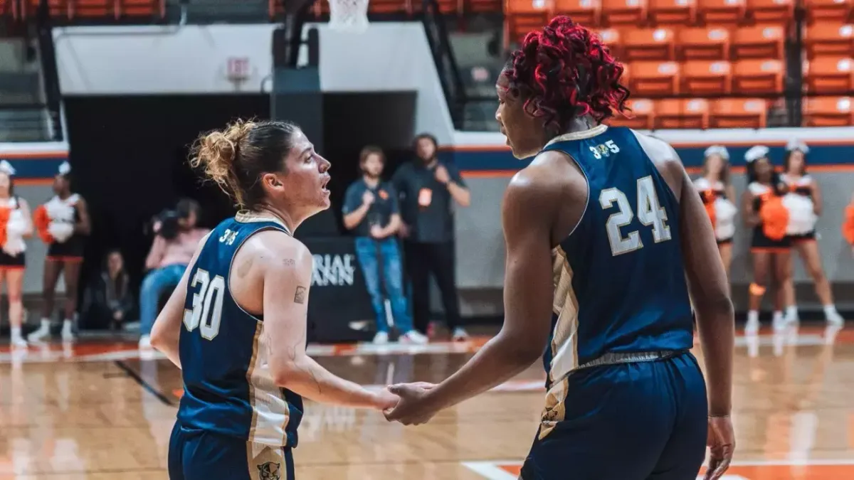 Parking Milwaukee Panthers at Detroit Mercy Titans Womens Basketball