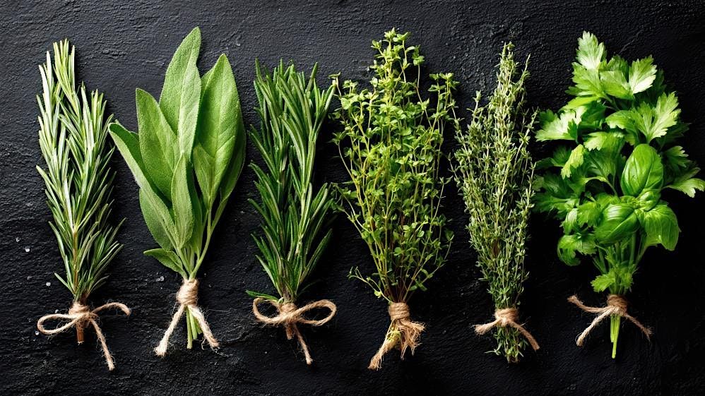 The Power of Herbs
