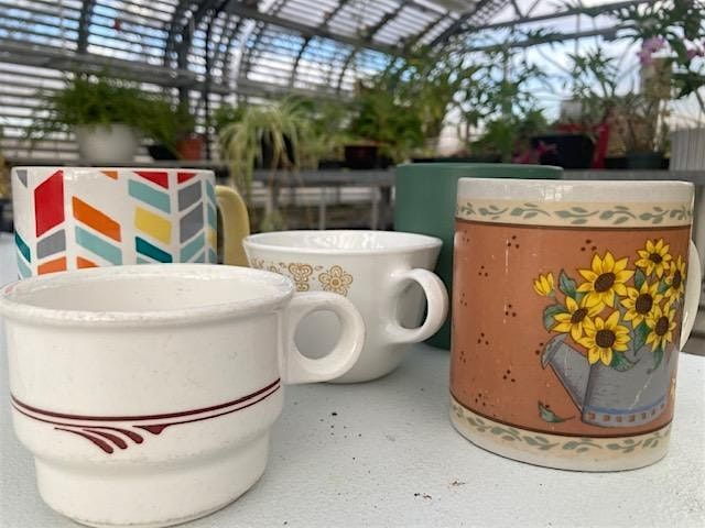 Enchanted Greenhouse Tea Party