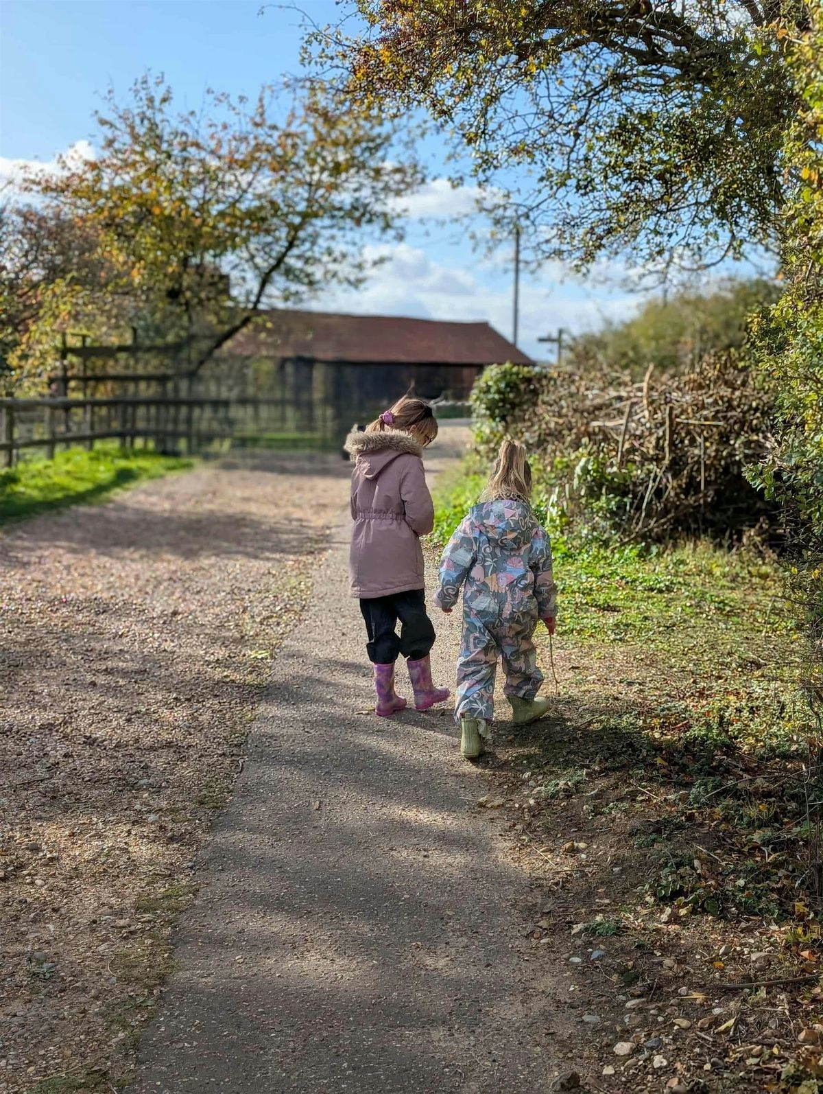 Fingringhoe Wild Code Breakers
