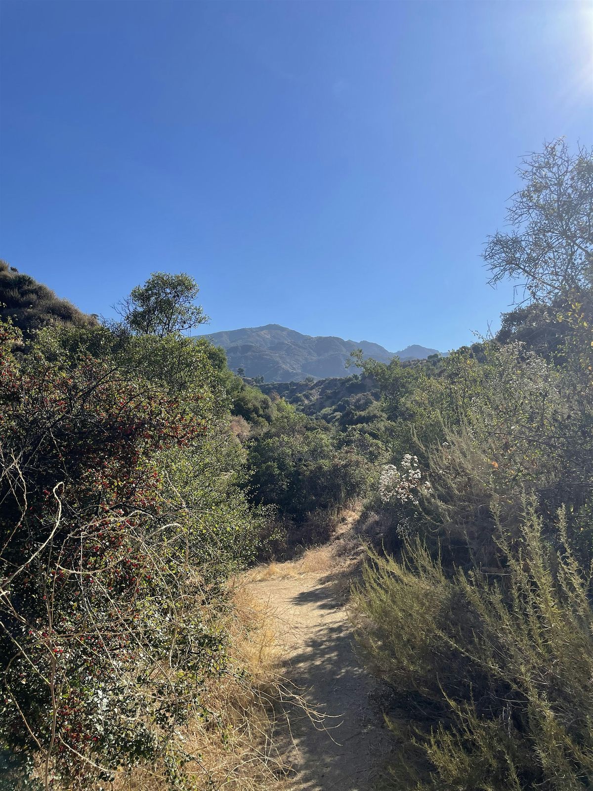 Nature Hike on the Chantry Flat Trail with AltadenaWILD