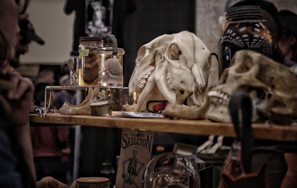 Oddities and Curiosities Expo at Cal Expo Show Arena