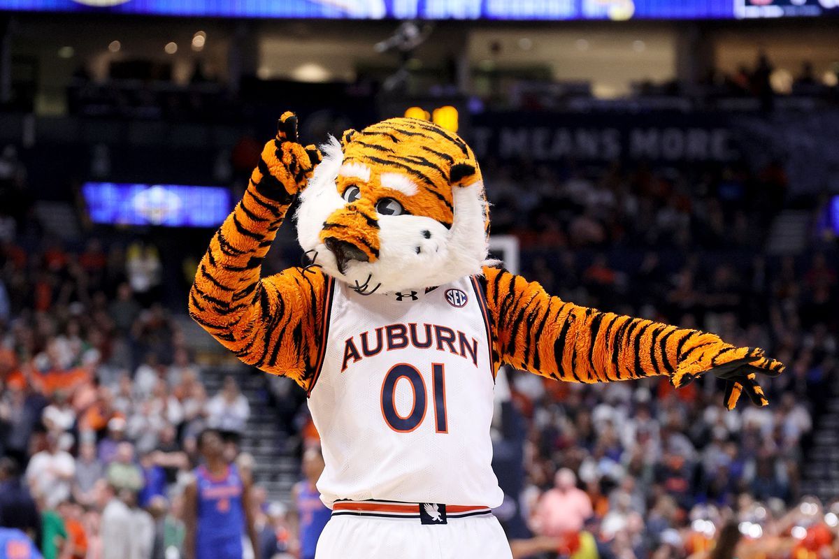 Auburn Tigers at Florida Gators Womens Volleyball