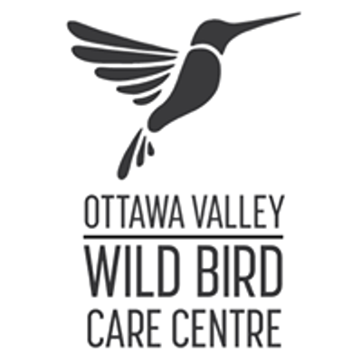 Ottawa Valley Wild Bird Care Centre