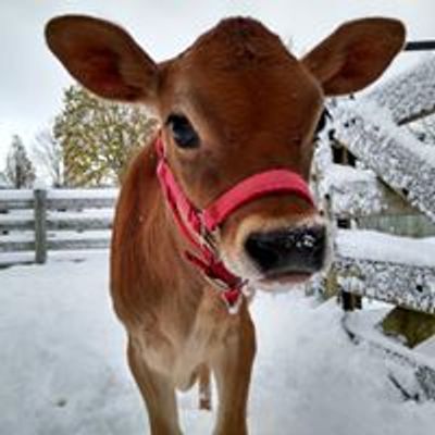 Lake Metroparks Farmpark