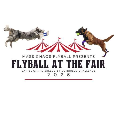 Flyball at the Fair 2025 Franklin County Fairgrounds, Greenfield, Ma