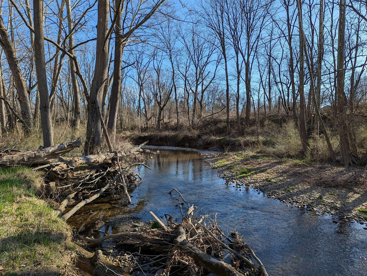 Give Back to Nature at Graham Nature Preserve