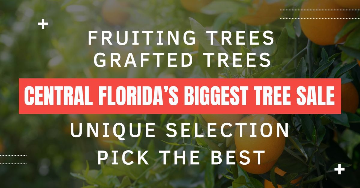 CENTRAL FL LARGEST WIDE VARIETY FRUIT TREE SALE Grafted Fruit Trees