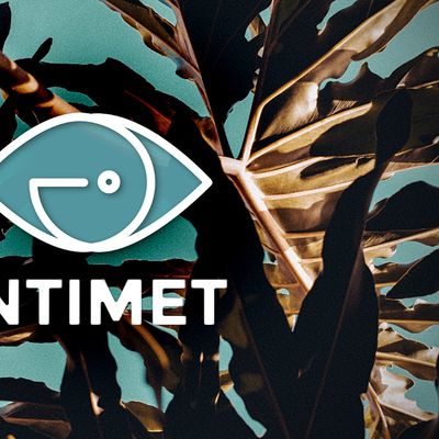 Intimet