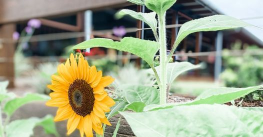 Farmhouse Networking Breakfast