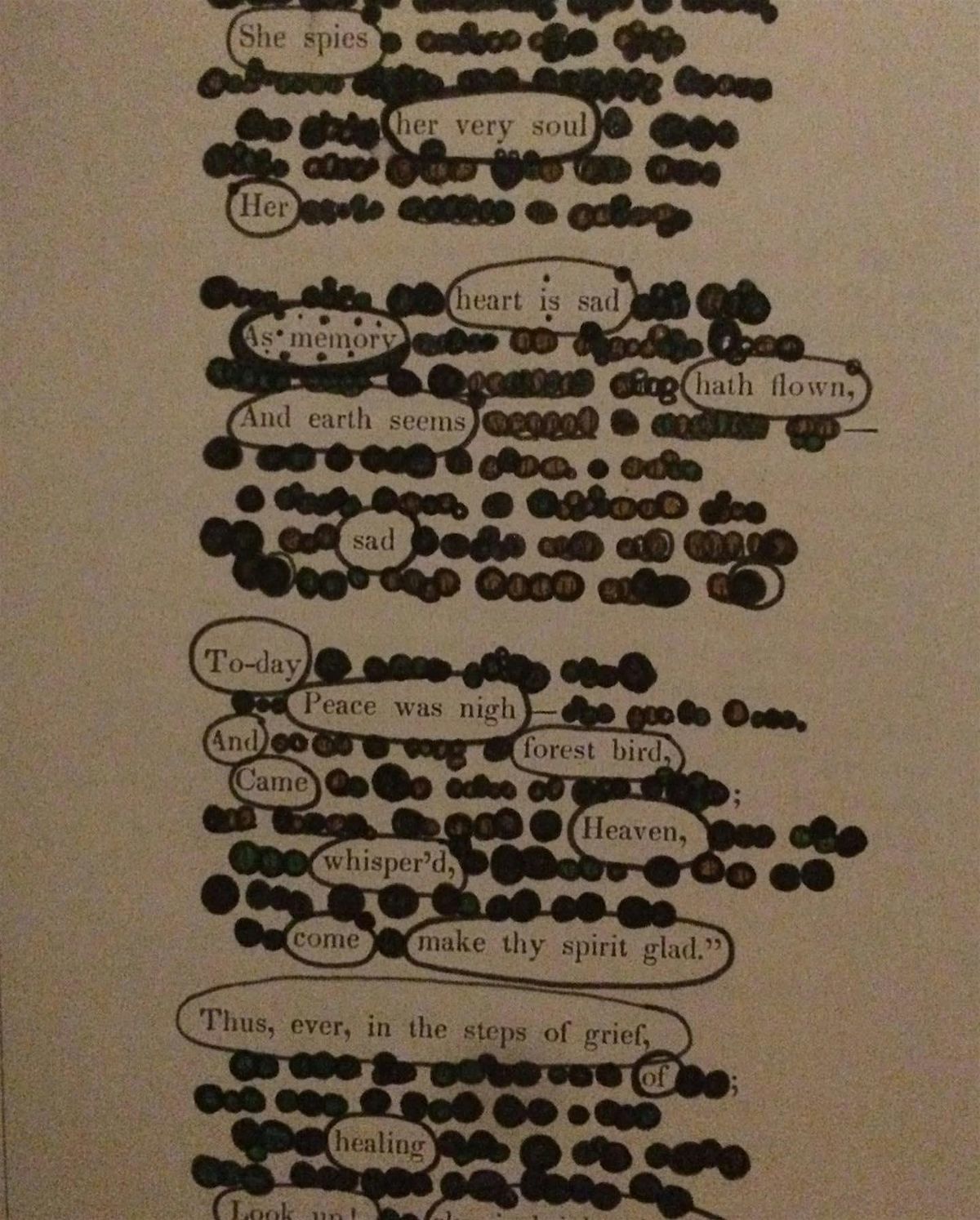 Morning Flow Poetry with Jessie Haase